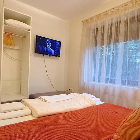 Villa Elita - Bela Crkva Bela Crkva  Exteriér fotografie
