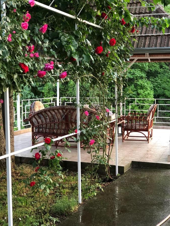 Villa Elita - Bela Crkva Bela Crkva  Exteriér fotografie