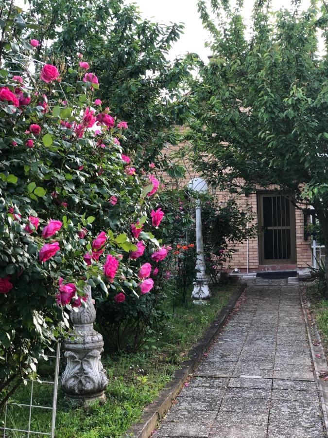 Villa Elita - Bela Crkva Bela Crkva  Exteriér fotografie